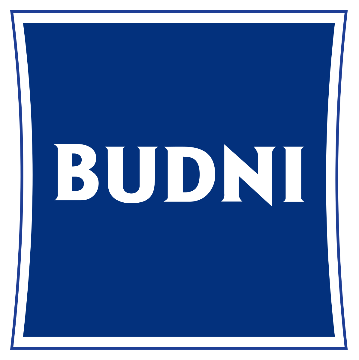 Budnikowsky logo
